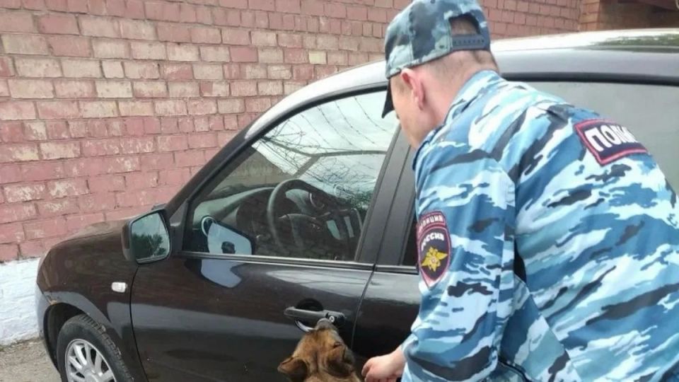 В Самарской области задержали 35-летнего жителя Сургута с наркотиками