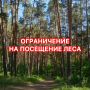 Илья Сухих: Прошу жителей и гостей города воздержаться от посещения леса