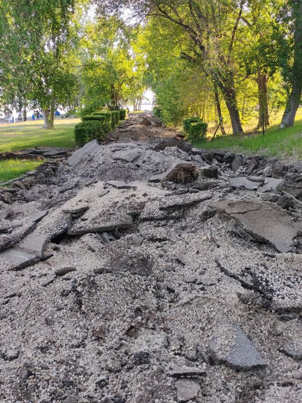 Илья Сухих: На «Певческом поле» приступили к благоустройству Илья Сухих: На «Певческом поле» приступили к благоустройству
