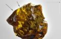 � ��������������� ������� �� �������������� ������������� ����� ������ � ����� ����� ������, �������� ����� 40 ��������� ���