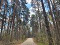 289 причин любить... Тольятти!