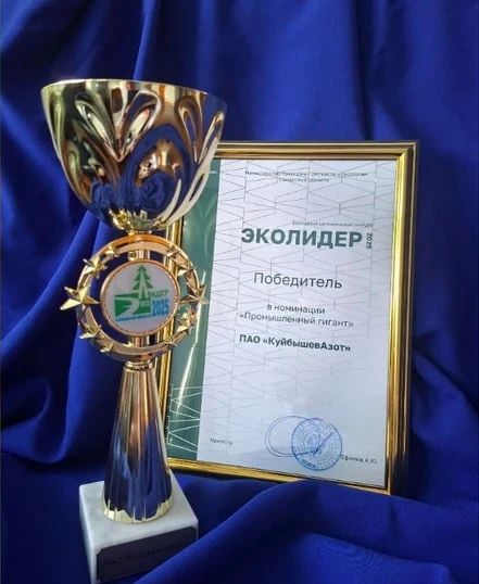Тольяттинские химики завоевали очередное звание «ЭкоЛидера» Тольяттинские химики завоевали очередное звание «ЭкоЛидера»