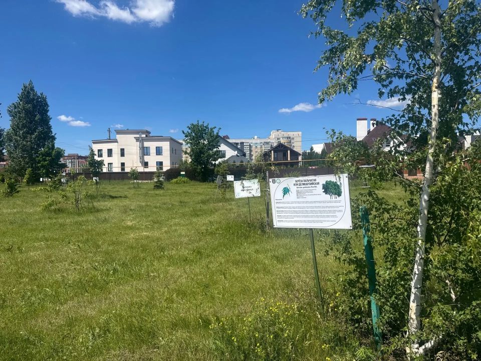 От лиственницы сибирской до клена сахаристого! Дендропарк Тольятти — живая энциклопедия в двух шагах от дома От лиственницы сибирской до клена сахаристого! Дендропарк Тольятти — живая энциклопедия в двух шагах от дома