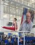 Россыпь наград тольяттинских гимнастов