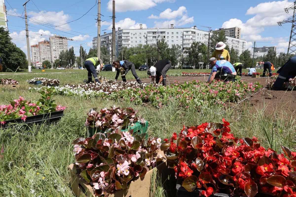 Продолжаем украшать любимый город! Продолжаем украшать любимый город!