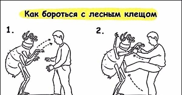 Клещи покусали почти 3 000 жителей Самарской области Клещи покусали почти 3 000 жителей Самарской области