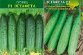 Огурцы Эстафета: новый взгляд на урожай
