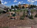 На кольцевой развязке рядом с ТД «Велит» продолжается благоустройство