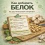 Как эффективно пополнять запас белка на растительном питании