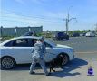 В Самарской области в суд направлено уголовное дело, возбужденное в отношении местного жителя, задержанного сотрудниками Госавтоинспекции за незаконный оборот наркотических средств
