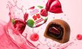 Кондитерская «Коммунарка» удивляет новыми конфетами с кактусом и черной морковью