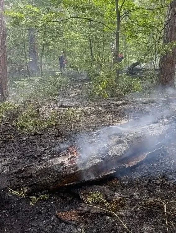 Высокая пожарная опасность лесов 4 класс местами в Самарской области с 25 по 29 июля 2026