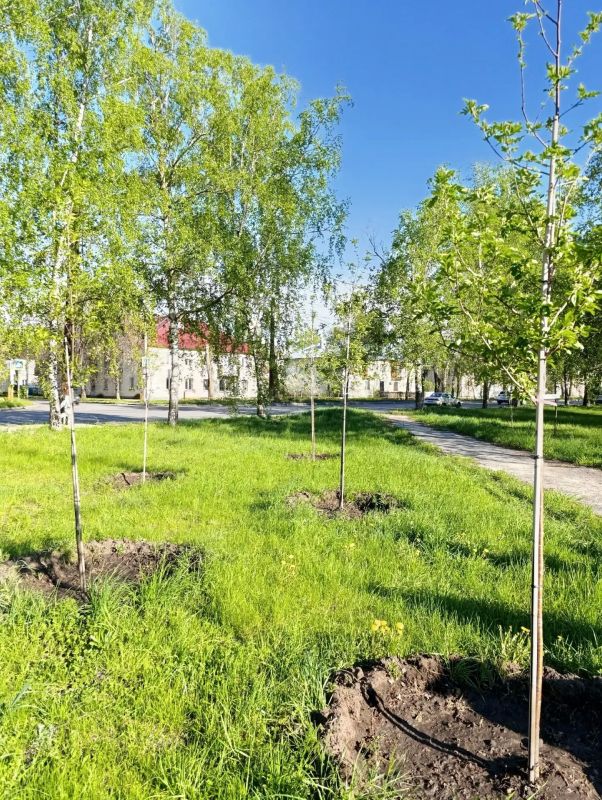 В Тольятти благоустраивают Сад защитников Отечества! В Тольятти благоустраивают Сад защитников Отечества!