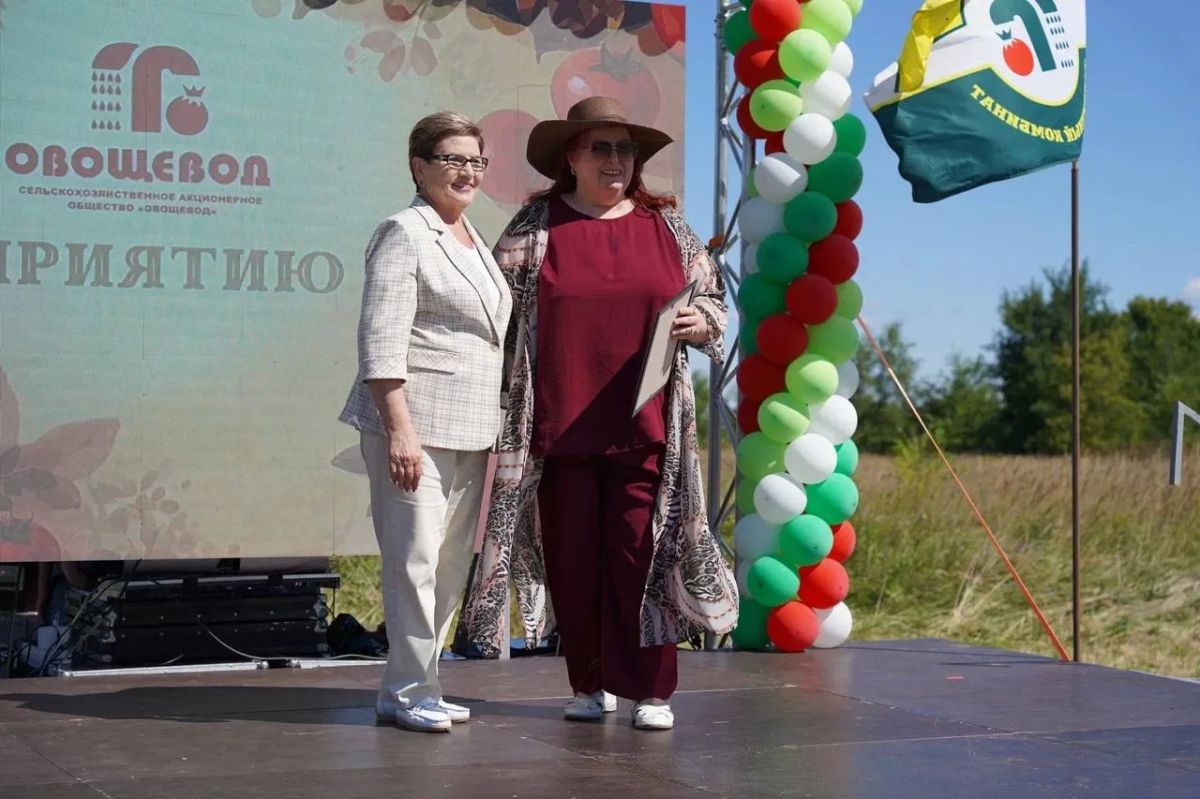 В Самарской области активно развивается овощеводство закрытого грунта В Самарской области активно развивается овощеводство закрытого грунта