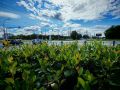 Доброе утро, Тольятти!. На календаре 17 августа