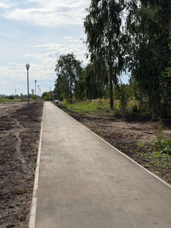 Комплексный подход: в Тольятти обустраивают пешеходные дорожки вдоль магистралей Комплексный подход: в Тольятти обустраивают пешеходные дорожки вдоль магистралей