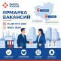 Ярмарка вакансий для сотрудников пострадавшего склада Wildberries пройдет в Самаре и Тольятти