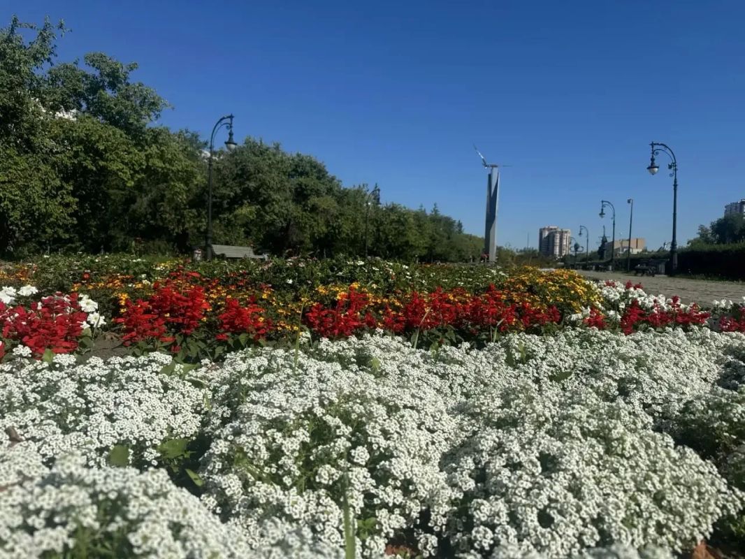 Сегодня в Тольятти продолжается активная подготовка города к 1 сентября Сегодня в Тольятти продолжается активная подготовка города к 1 сентября