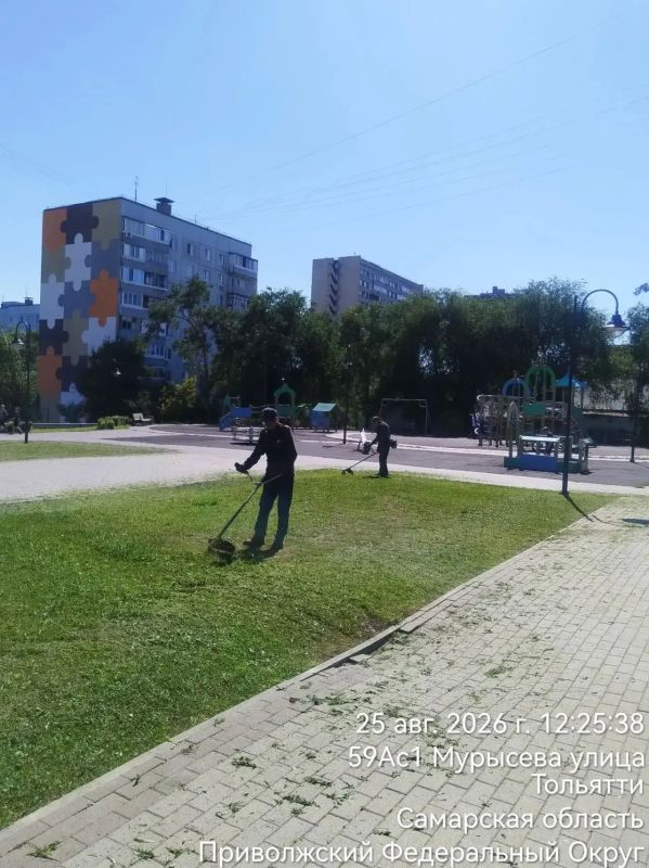 Сегодня в Тольятти продолжается активная подготовка города к 1 сентября Сегодня в Тольятти продолжается активная подготовка города к 1 сентября