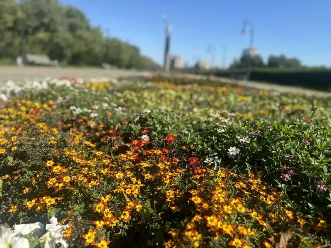 Сегодня в Тольятти продолжается активная подготовка города к 1 сентября Сегодня в Тольятти продолжается активная подготовка города к 1 сентября