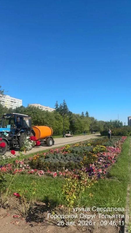 Сегодня в Тольятти продолжается активная подготовка города к 1 сентября Сегодня в Тольятти продолжается активная подготовка города к 1 сентября