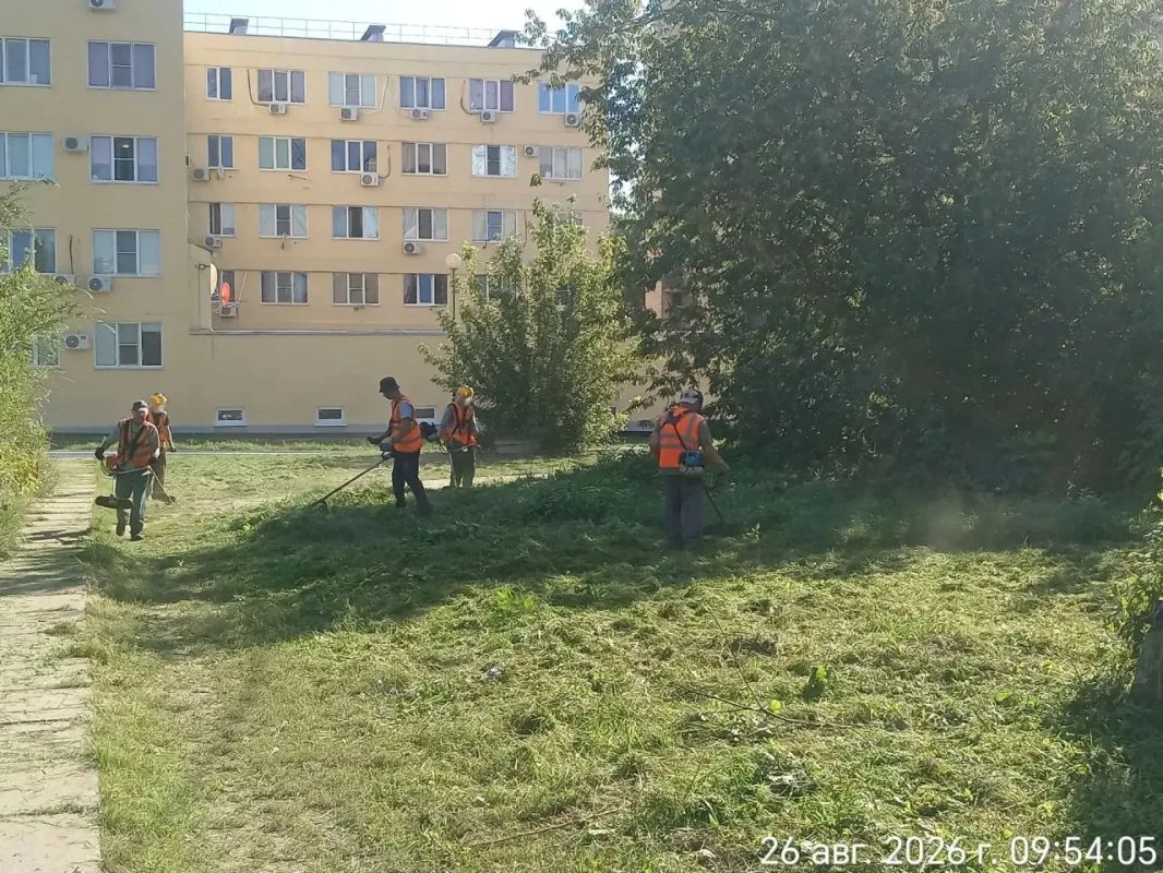 Сегодня в Тольятти продолжается активная подготовка города к 1 сентября Сегодня в Тольятти продолжается активная подготовка города к 1 сентября