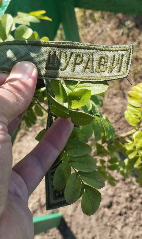 Живая память вместо холодных цифр Живая память вместо холодных цифр