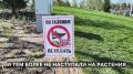 Илья Сухих: Работаем с коллегами на Центральной площади