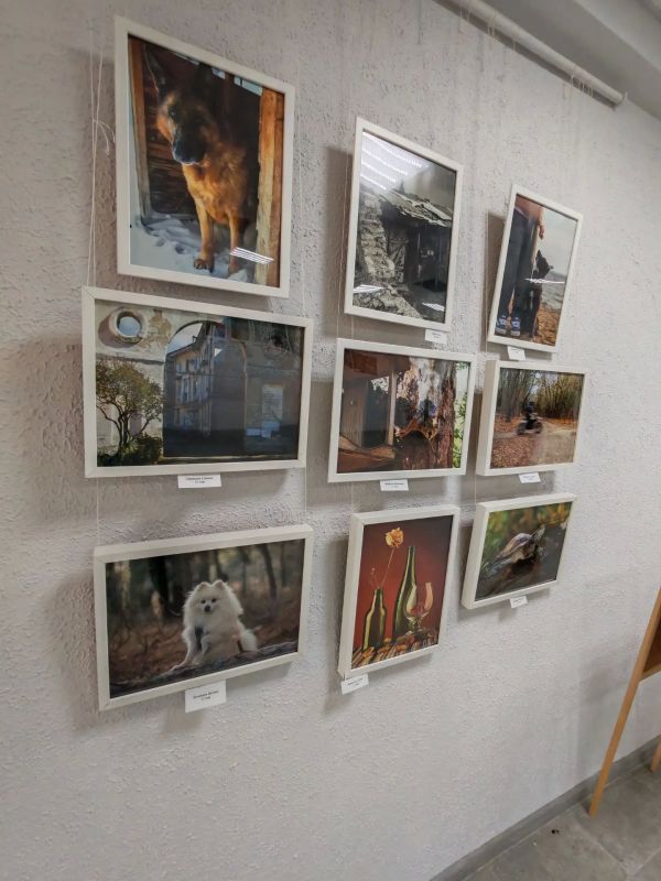 Искра творчества юных фотографов Тольятти Искра творчества юных фотографов Тольятти