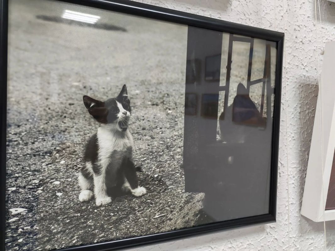 Искра творчества юных фотографов Тольятти Искра творчества юных фотографов Тольятти