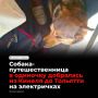 ������ ����� ������� �� ���� � ������ 21 �������� � �������������� ��������� �� �������� � ������� �� �������� �� ������, ����� �� ���������� � ���������, ��� �� �������� ��� ������� ������ ����� ������������