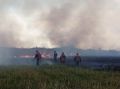 Возгорание на прилегающей к Безенчукскому лесничеству территории ликвидировано