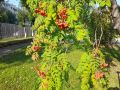 Уходящий сентябрь дарит на прощание еще один теплый денек!