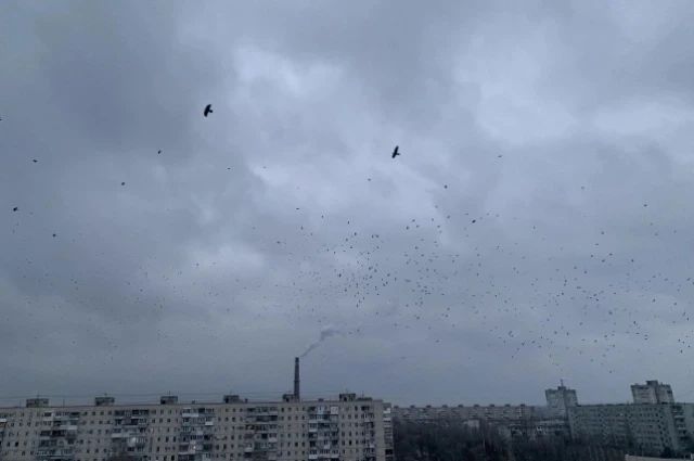 В Тольятти 11 октября ожидается похолодание и дождь