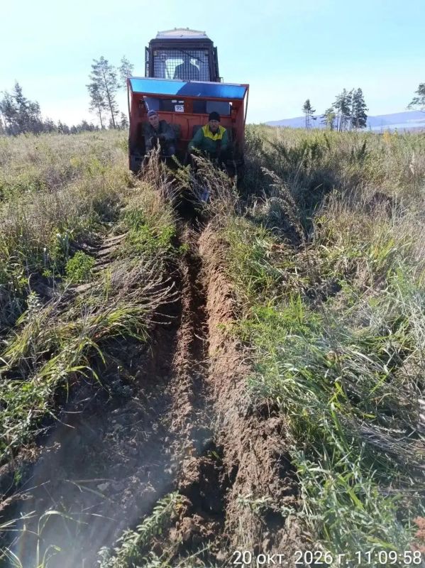 В Тольятти завершается восстановление леса