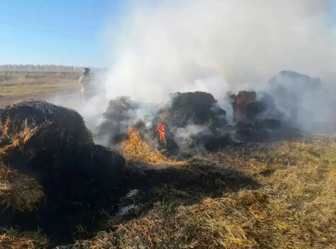 Когда счёт идёт на минуты. В селе Подвалье 27 октября случился пожар: открытым пламенем горели 20 рулонов соломы — это 3,2 тонны горючего материала